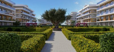 Projekt THE OLEA CYPRUS, Geçitkale - 2