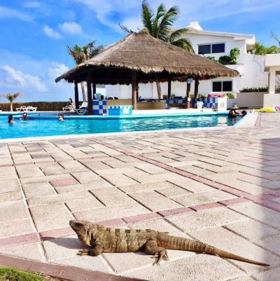 Apartmány na prenájom, Condominios Brisas, Cancún, Mexiko - 4