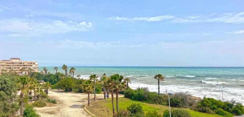 Apartmán 2+kk Torrevieja-La Mata, Španielsko - 10
