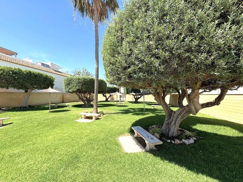 Apartmán 3+1 s terasou a bazénom Torrevieja-El Chaparral, Španielsko - 19