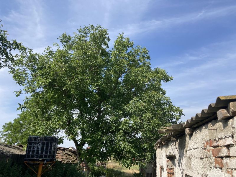 PREDAJ rodinný dom Bezenye - 23