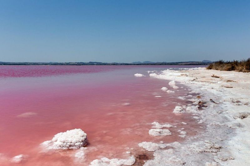 Dom 4+kk Torrevieja-El Salado, Španielsko - 18