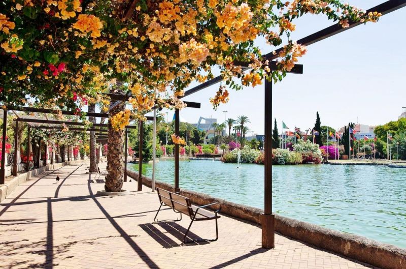 Apartmán 3+kk Torrevieja, Španielsko - 18